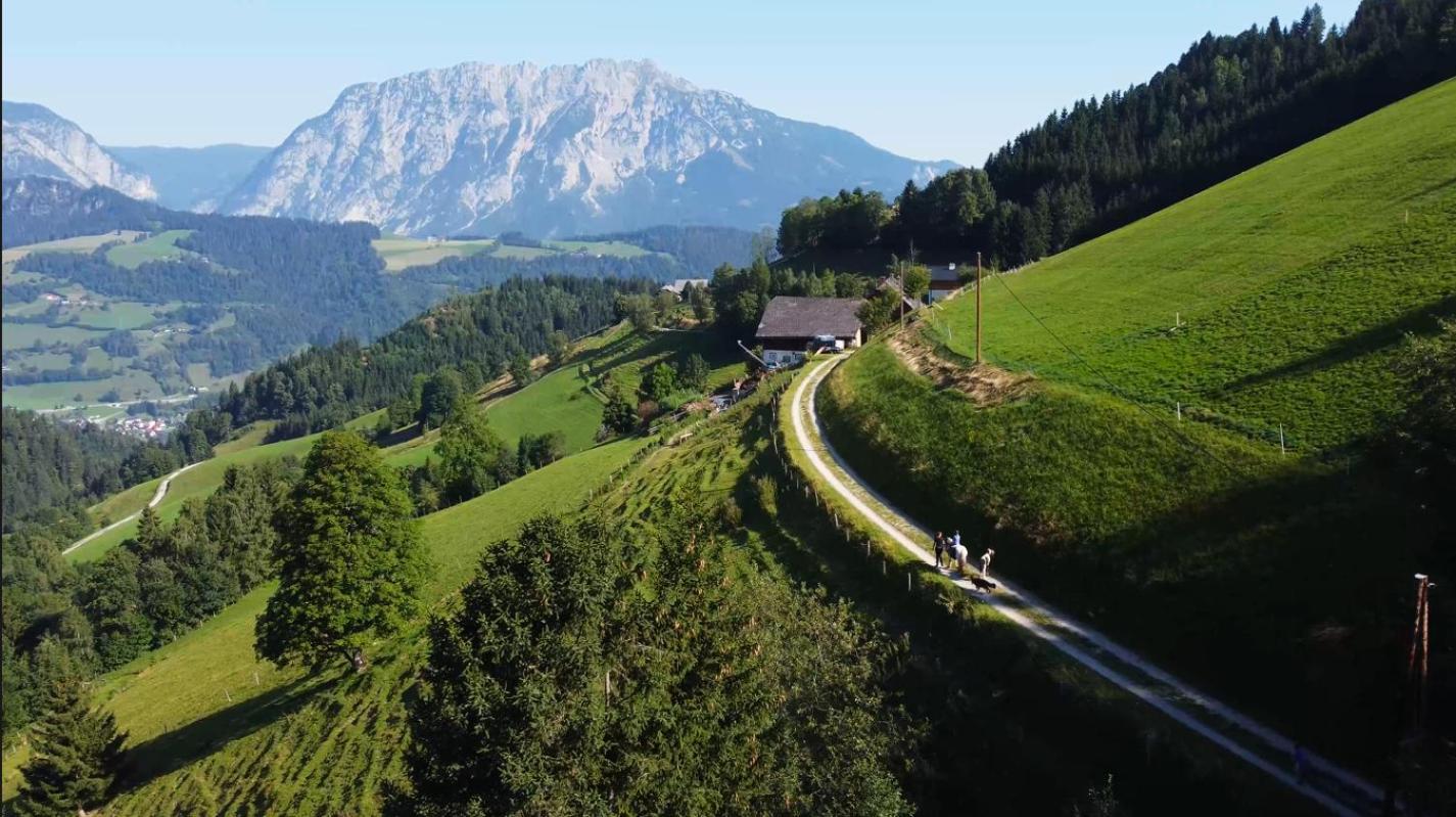 Chalet Leo Michaelerberg Экстерьер фото